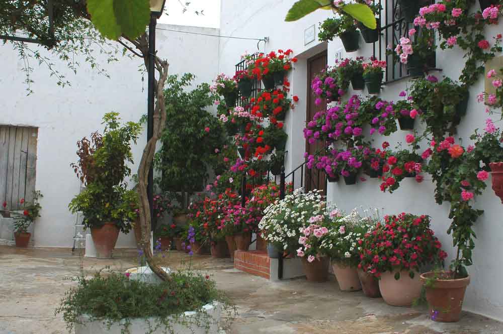 Cádiz - Vejer de la Frontera 11 - patio interior.jpg